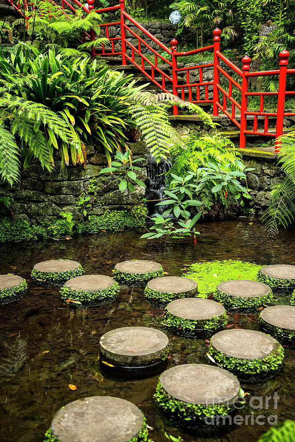Oriental Garden Stepping Stones Photograph by Brenda Kean
