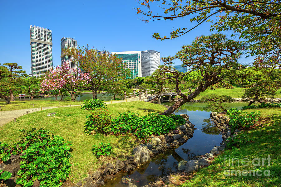 Oriental Gardens Tokyo Photograph by Benny Marty