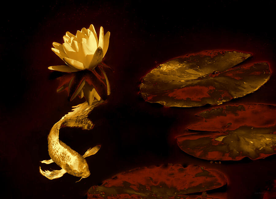 Oriental Golden Koi Fish and Water Lily Flower Photograph by Jennie Marie Schell