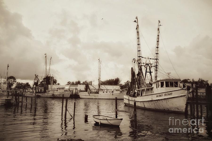 Oriental Harbor Photograph by Benanne Stiens