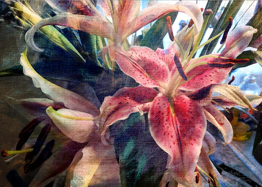 Oriental Lilies Photograph