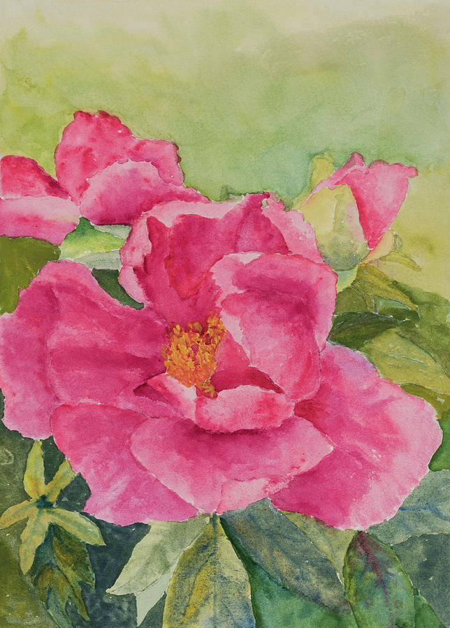 Oriental Peony Painting by Nadine Button