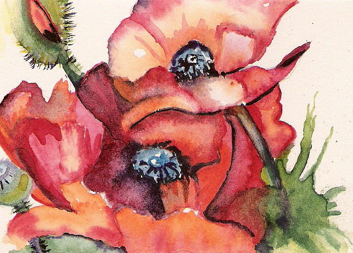 Oriental Poppies Painting by Marsha Woods