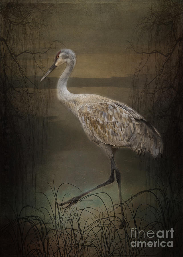 Wildlife Painting - Oriental Sandhill Crane by Janice Pariza