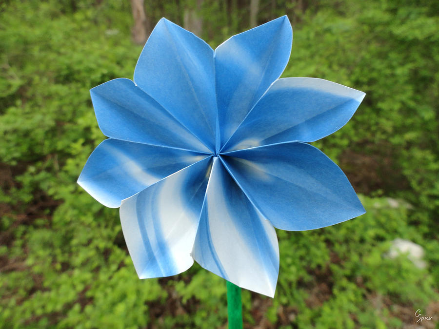 Origami Flower Photograph by Christopher Spicer