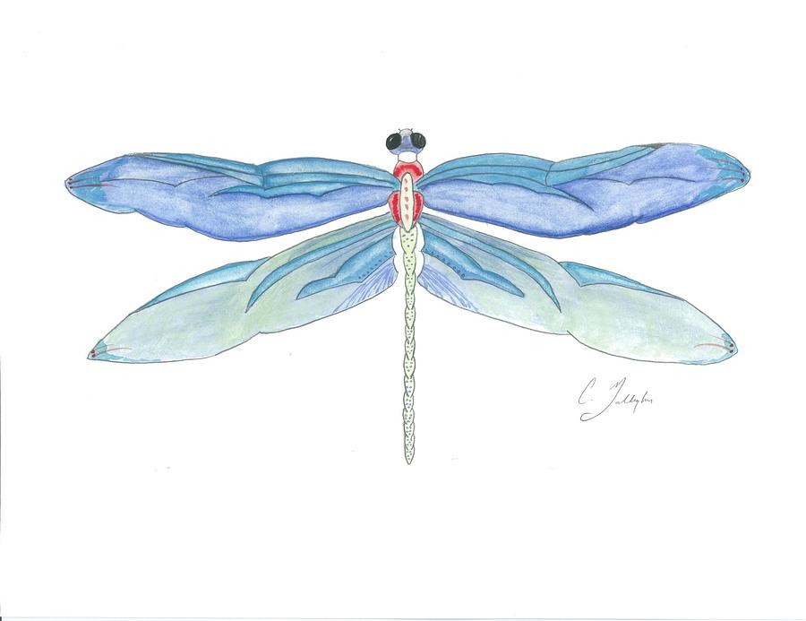 Original Dragonfly Watercolor Painting Painting By Christian Galligher