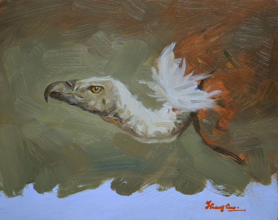 Original Oil Painting Animal Art Vulture On Board#16-01-05-4 Painting by Hongtao Huang