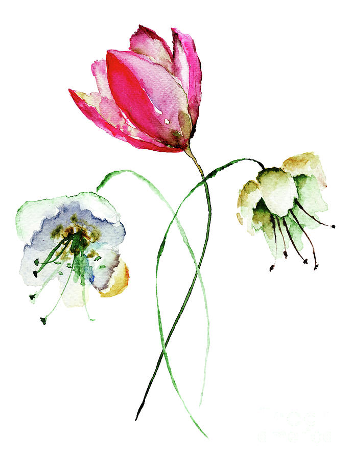 Original Summer flowers Painting by Regina Jershova