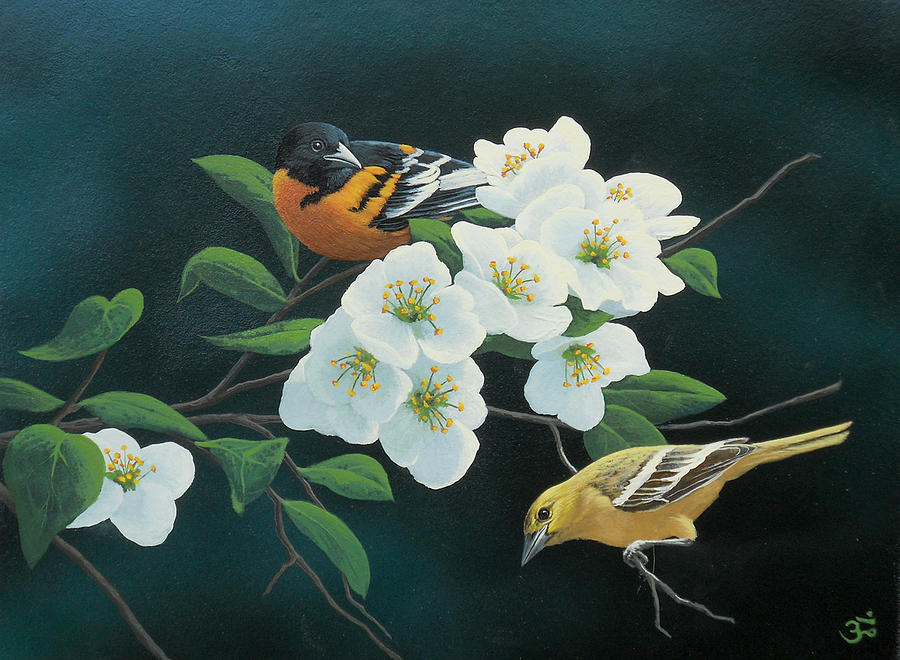 Baltimore Painting - Orioles by Mark Mittlesteadt
