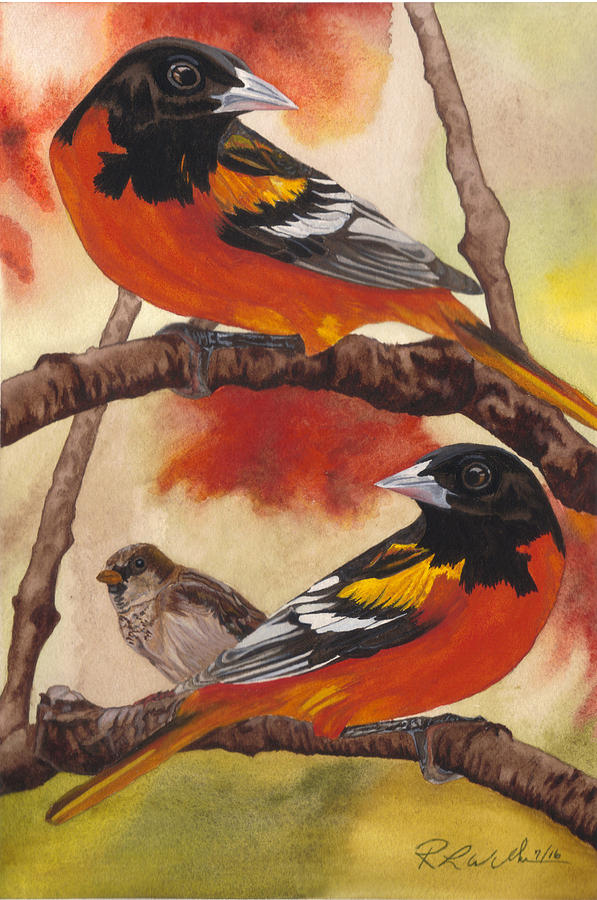Orioles Painting by Ronald Wilkie