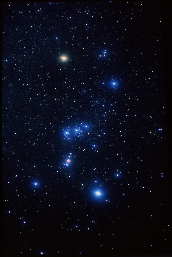 Orion Constellation Photograph by John Sanford