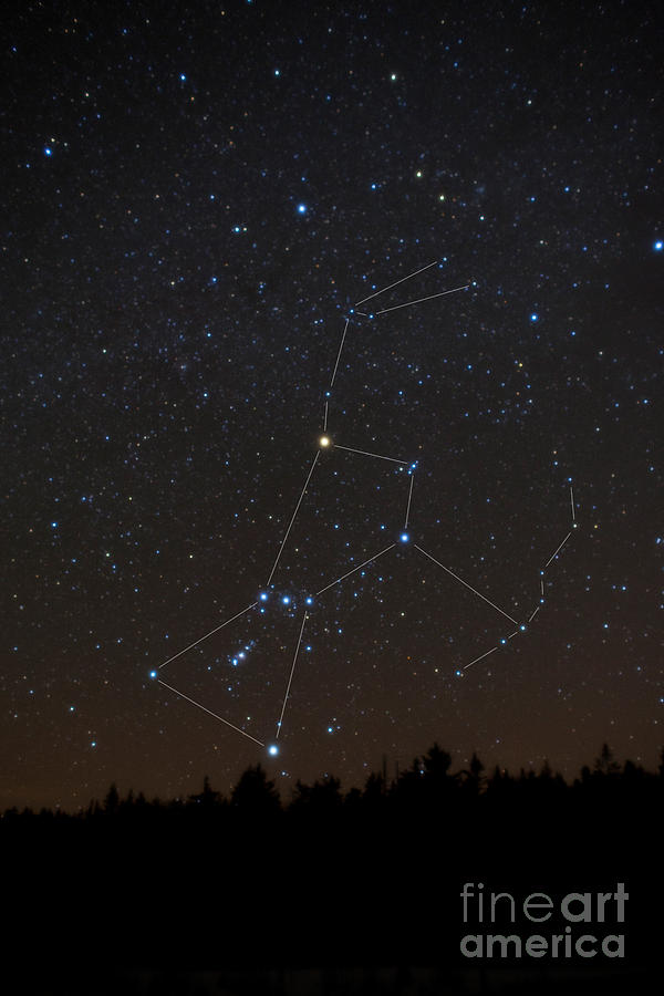 Space Photograph - Orion Constellation by Larry Landolfi