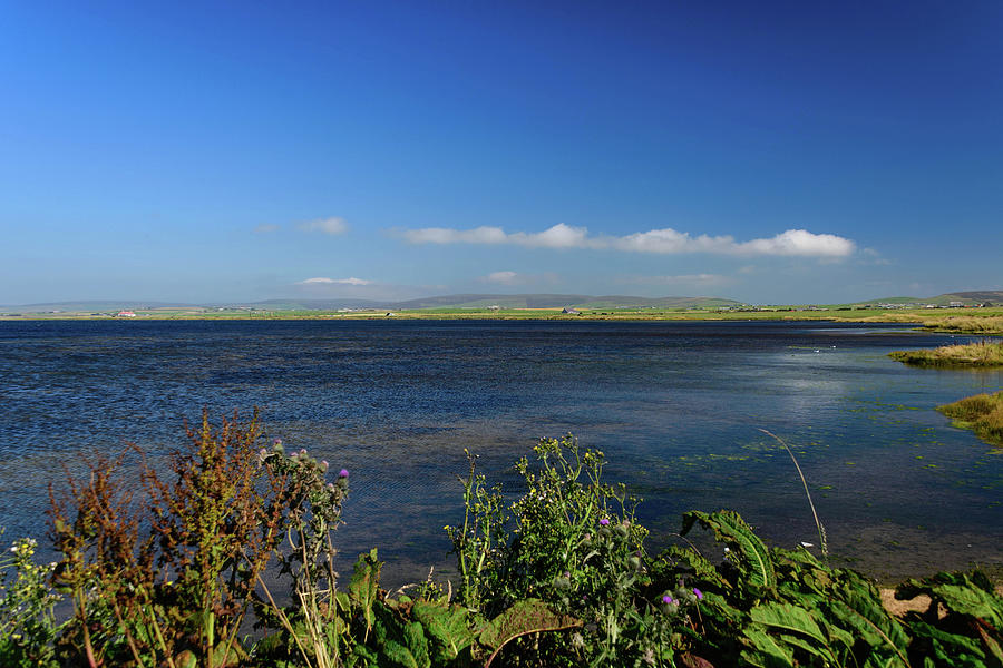 Orkney Islands Splendor Photograph by Elvis Vaughn