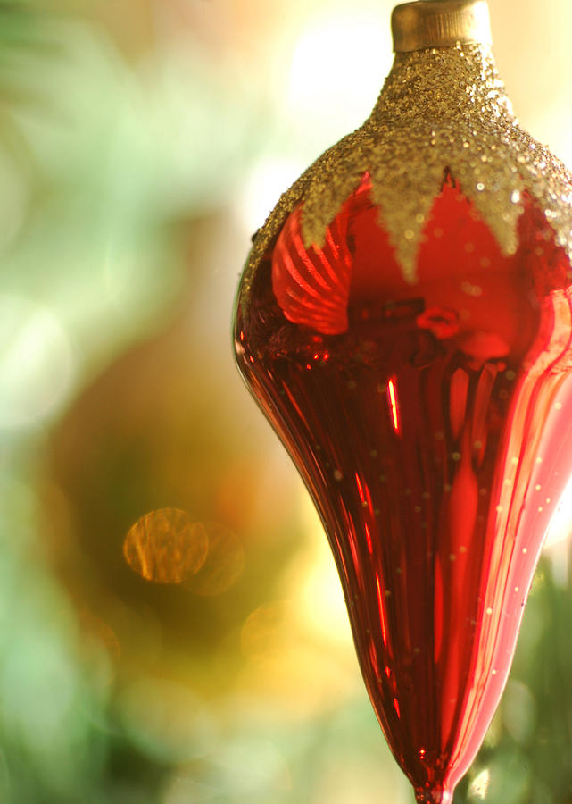Holiday Photograph - Ornament by Edward Loesch