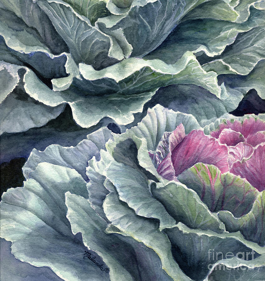 Ornamental Cabbage Painting by Malanda Warner