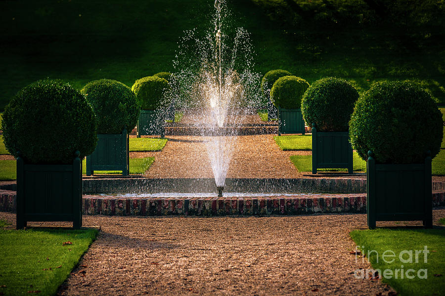 Ornamental Garden With Fountain Photograph