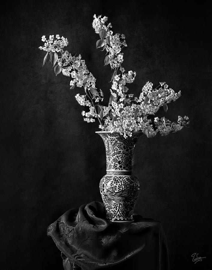 Ornamental Pear Blossoms B and W Photograph by Endre Balogh
