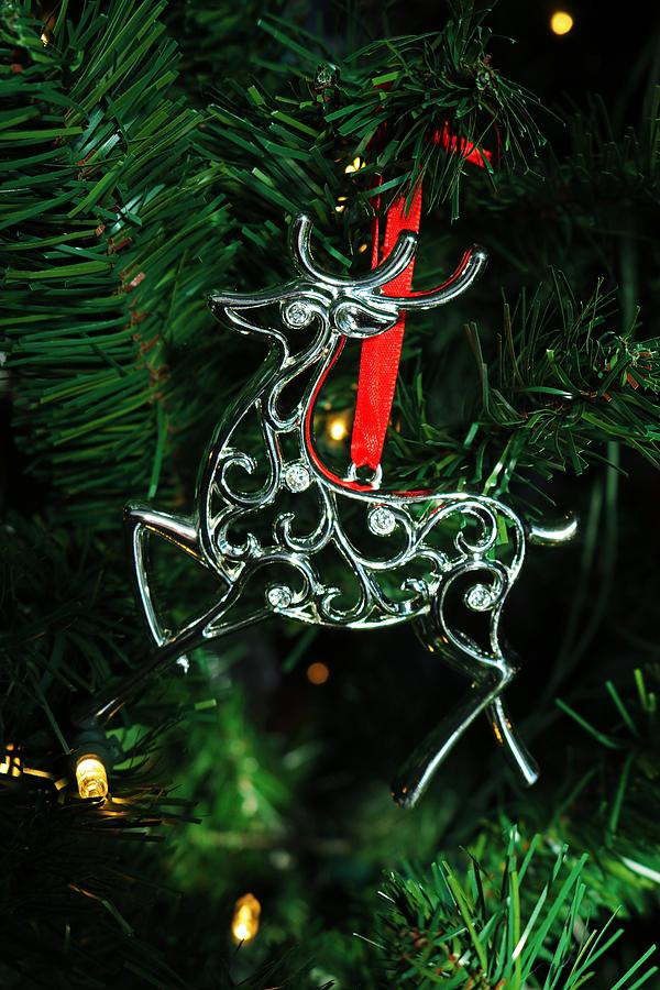 Ornamental Reindeer- vertical Photograph by Michiale Schneider