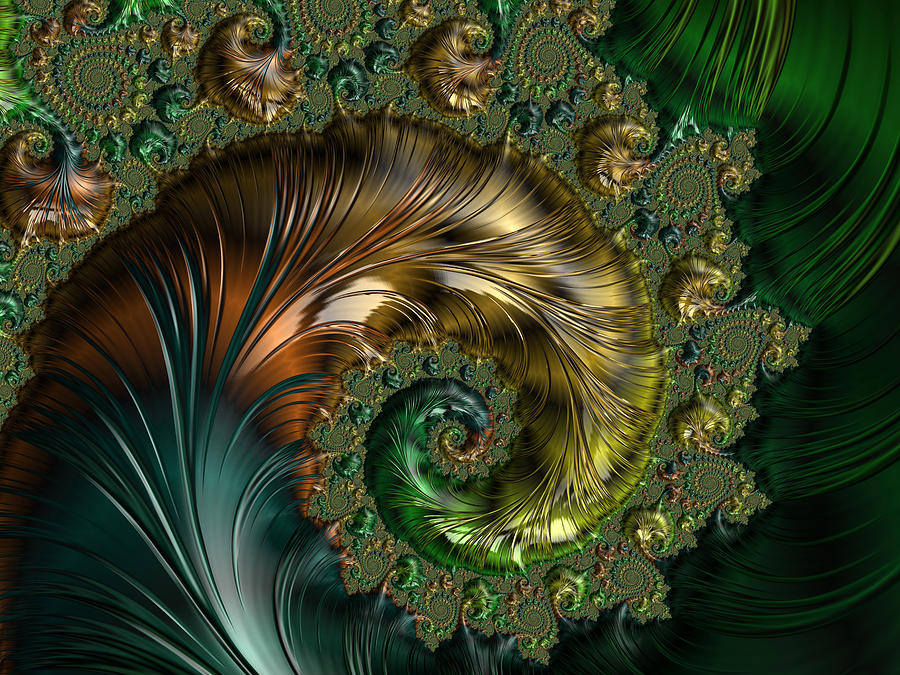 Abstract Digital Art - Ornamental Shell Abstract by Georgiana Romanovna