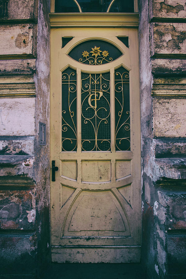 Ornamented doors in light brown color Photograph by Jaroslaw Blaminsky