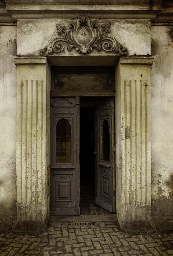 Ornamented gate in dark brown color Photograph by Jaroslaw Blaminsky