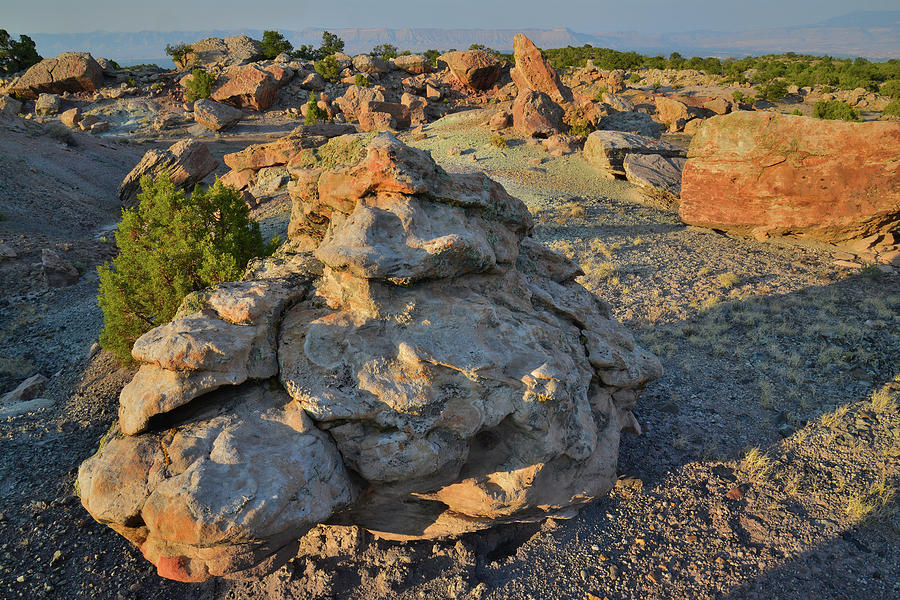 Ornate Boulder in Bentonite Site along Little Park Road Photograph by Ray Mathis