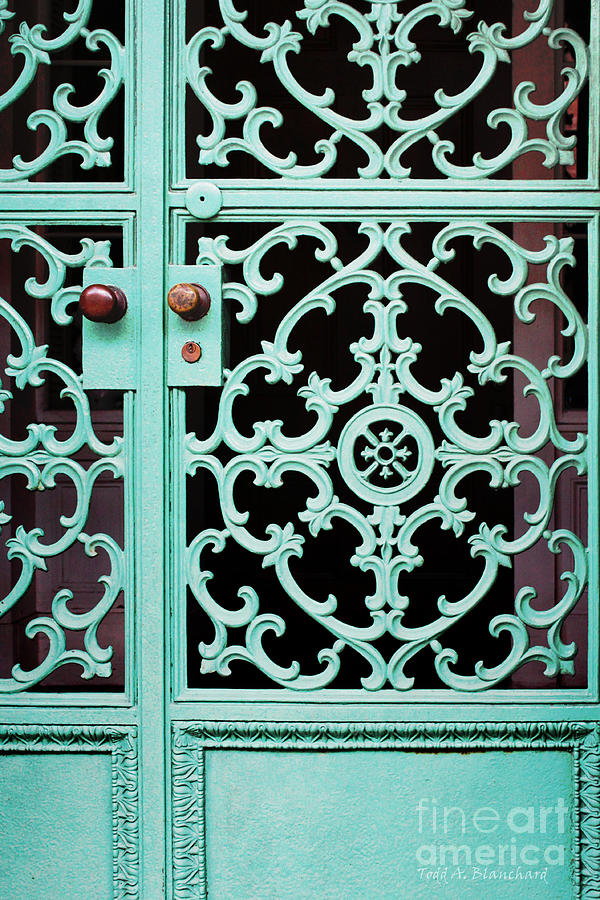 Ornate Doors Photograph by Todd Blanchard