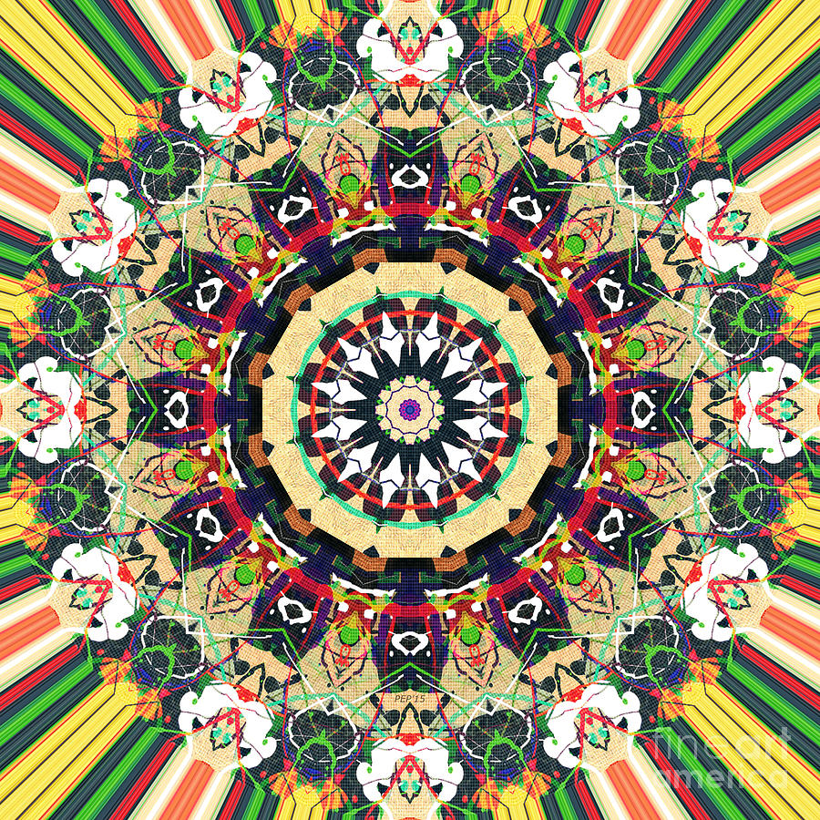 Ornate Mandala Design Digital Art by Phil Perkins