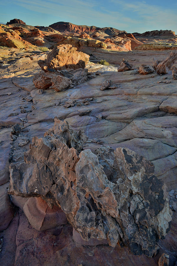 Ornate Sandstone Shapes in Valley of Fire Photograph by Ray Mathis