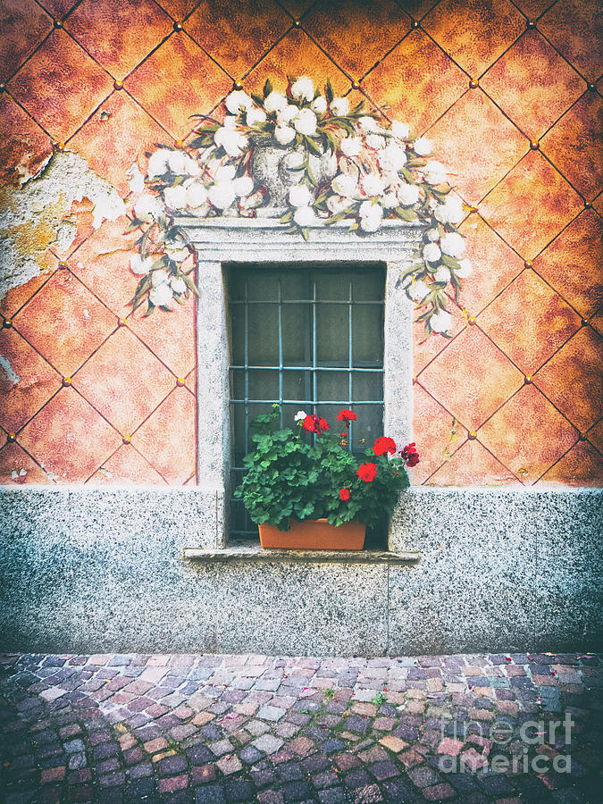 Ornate window with geraniums Photograph by Silvia Ganora