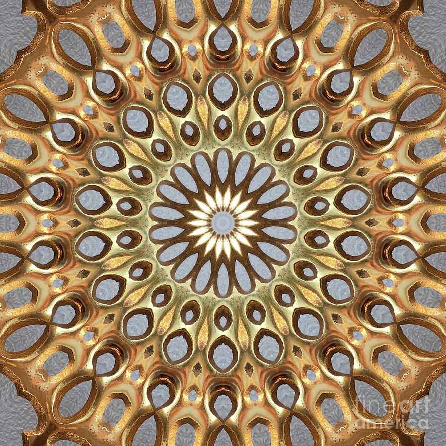 Ornate2  3D golden brass sunburst design Digital Art by Amy Cicconi