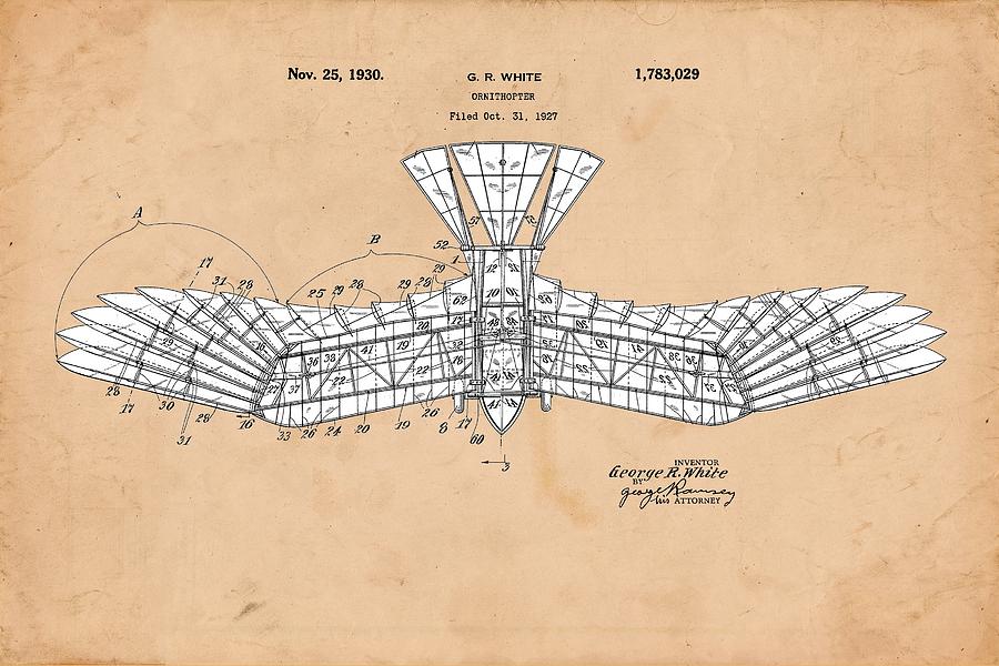 Airplane Drawing - Ornithopter 1930 by Ray Walsh