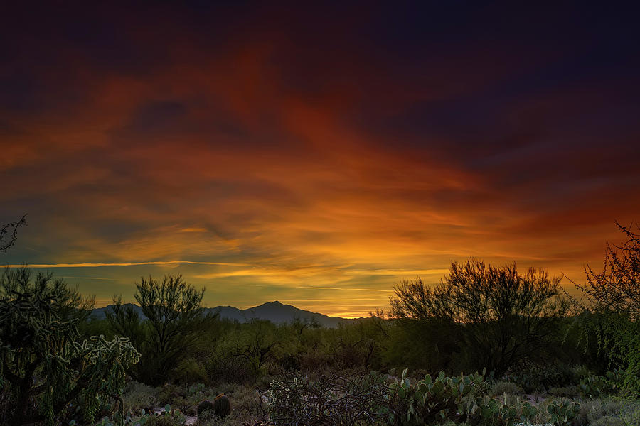 Nature Photograph - Oro Valley Sunset h02 by Mark Myhaver