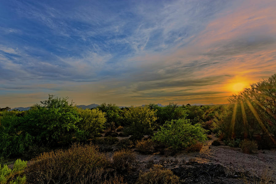 Mountain Photograph - Oro Valley Sunset h21 by Mark Myhaver