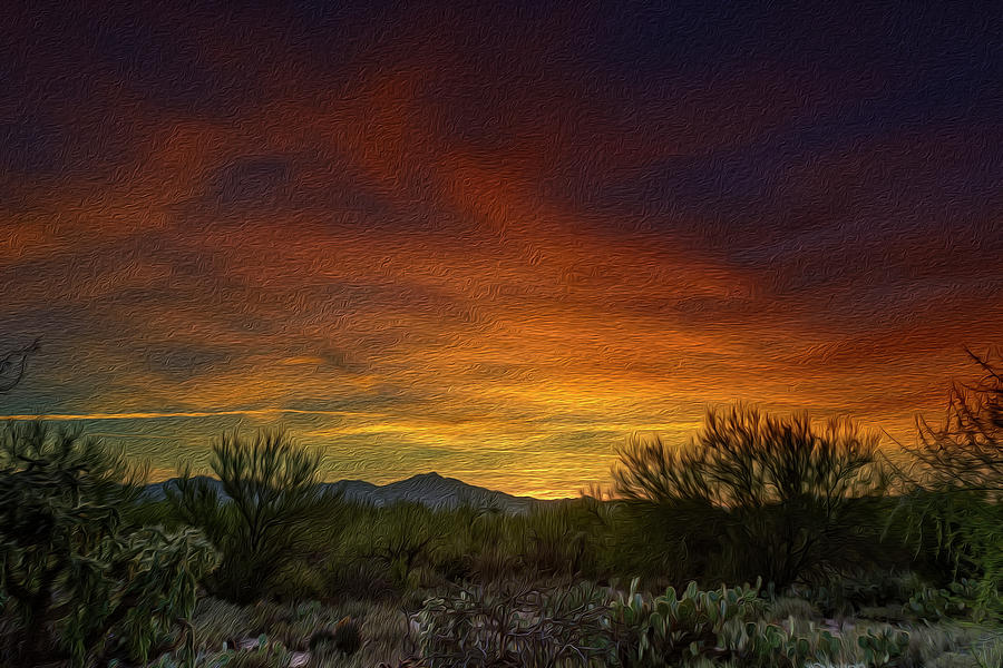 Nature Photograph - Oro Valley Sunset op3 by Mark Myhaver