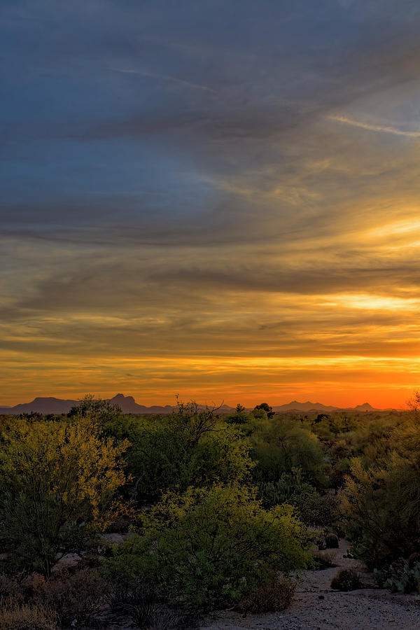 Mountain Photograph - Oro Valley Sunset v38 by Mark Myhaver