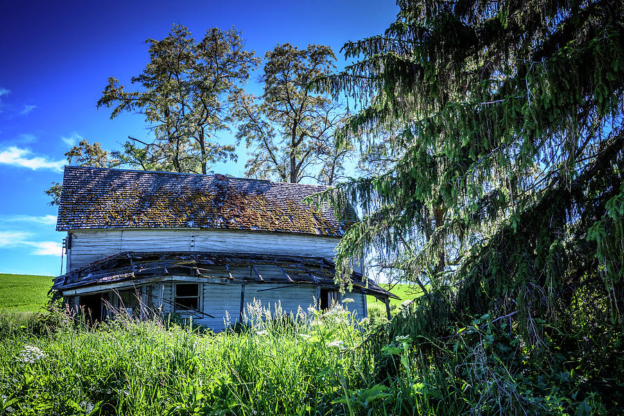 Orphan Home - The Palouse Photograph by Jon Berghoff - Fine Art America