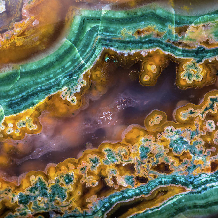 Orpheus Agate of Bulgaria Photograph by Jim and Lynne Weber