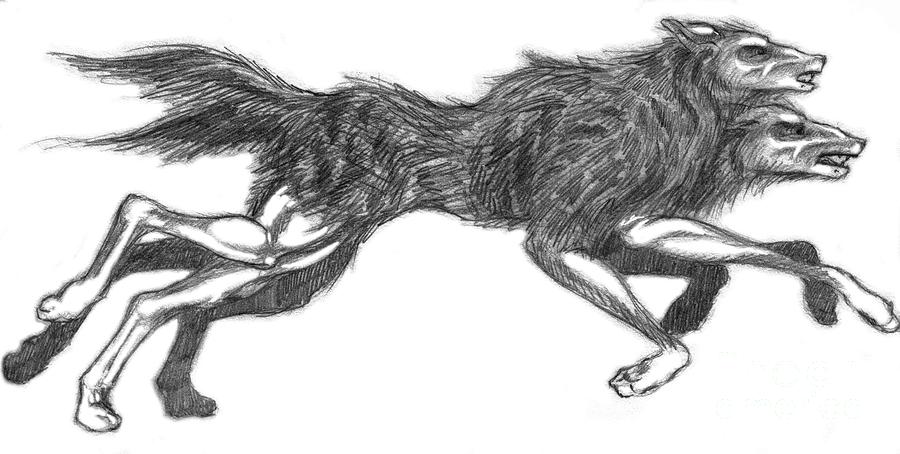 Orthos Drawing by Kelly Harris