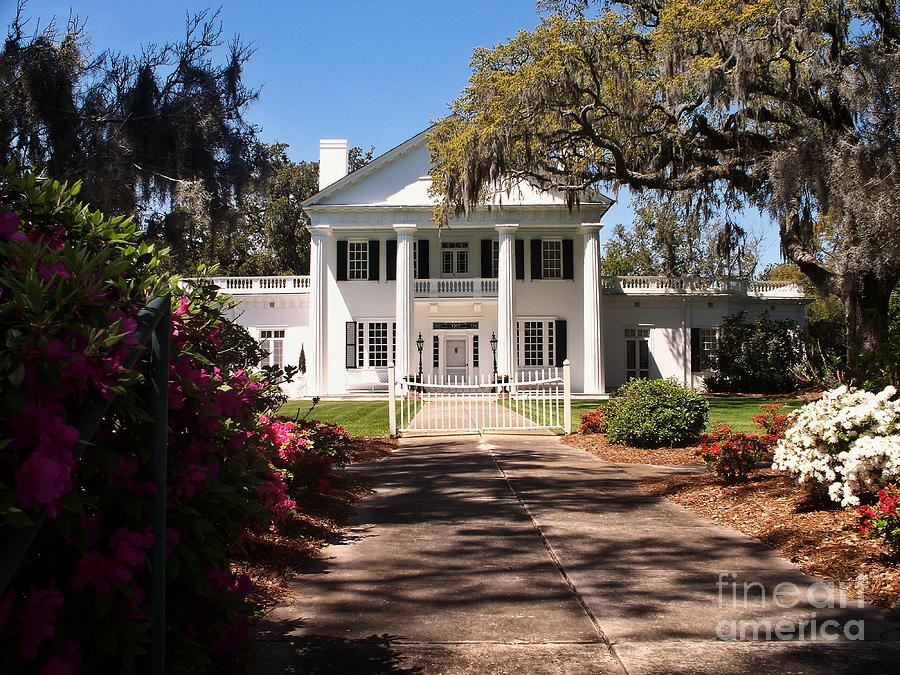 Orton plantation Photograph by Cindy Piper - Fine Art America