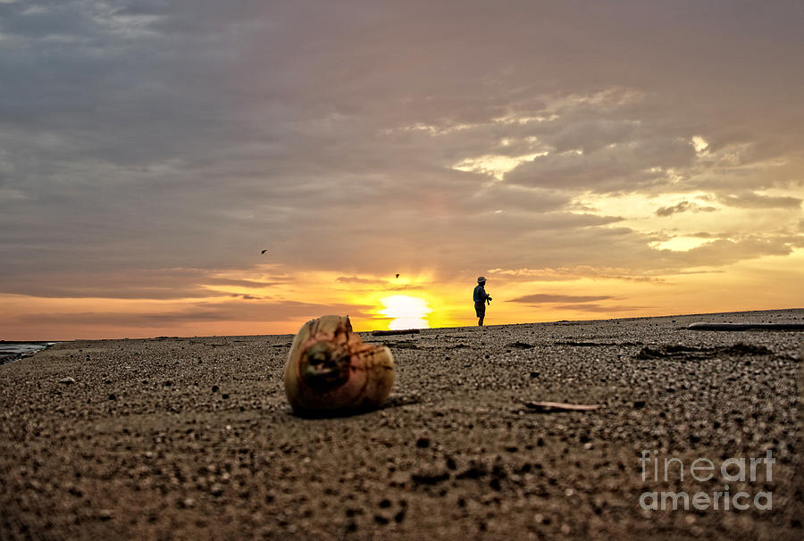 Osa Beach at Sunrise  Photograph by Ed McDermott