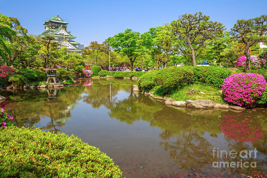 Osaka Castle garden blooms Photograph by Benny Marty