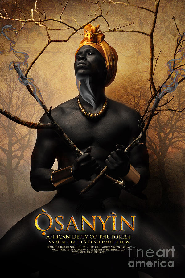 Herbs Photograph - Osanyin by James C Lewis