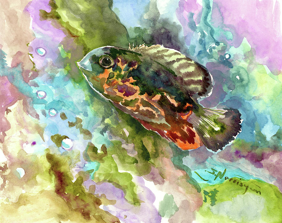 Oscar Fish, Cichlid, Fish Illustration Painting by Suren Nersisyan