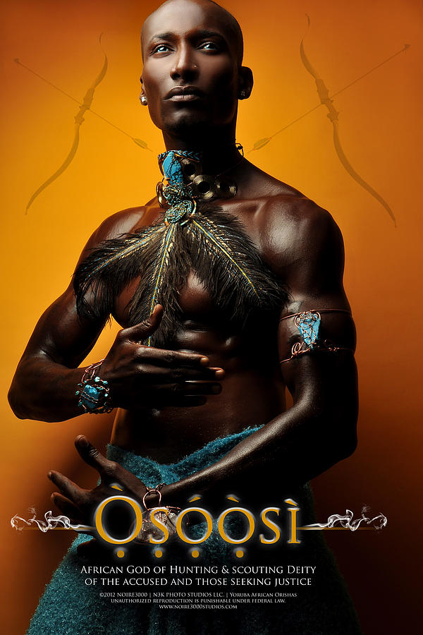 Feather Photograph - Osoosi by James C Lewis