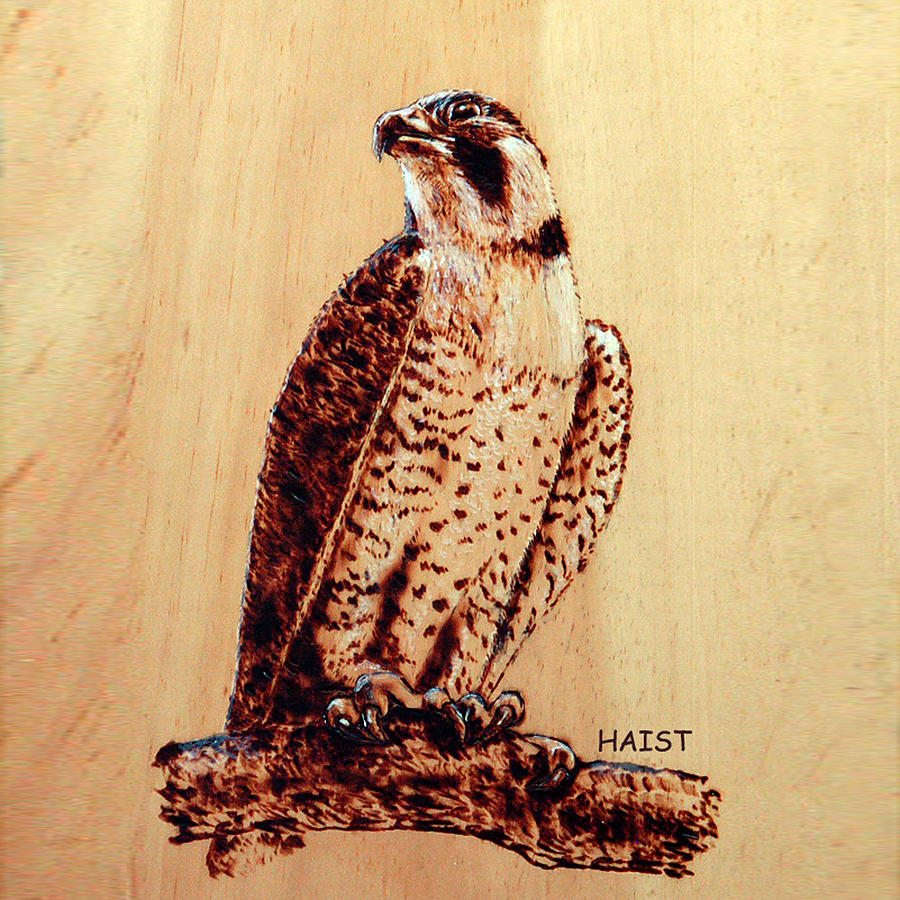 Osprey 2 Pillow/bag Pyrography by Ron Haist