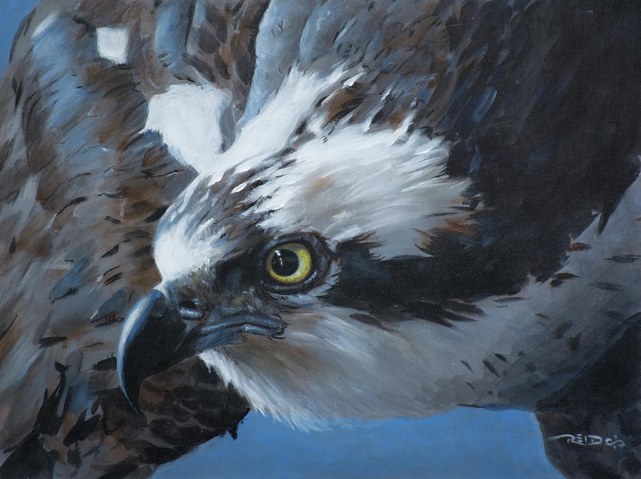 Seahawk Painting by Christopher Reid