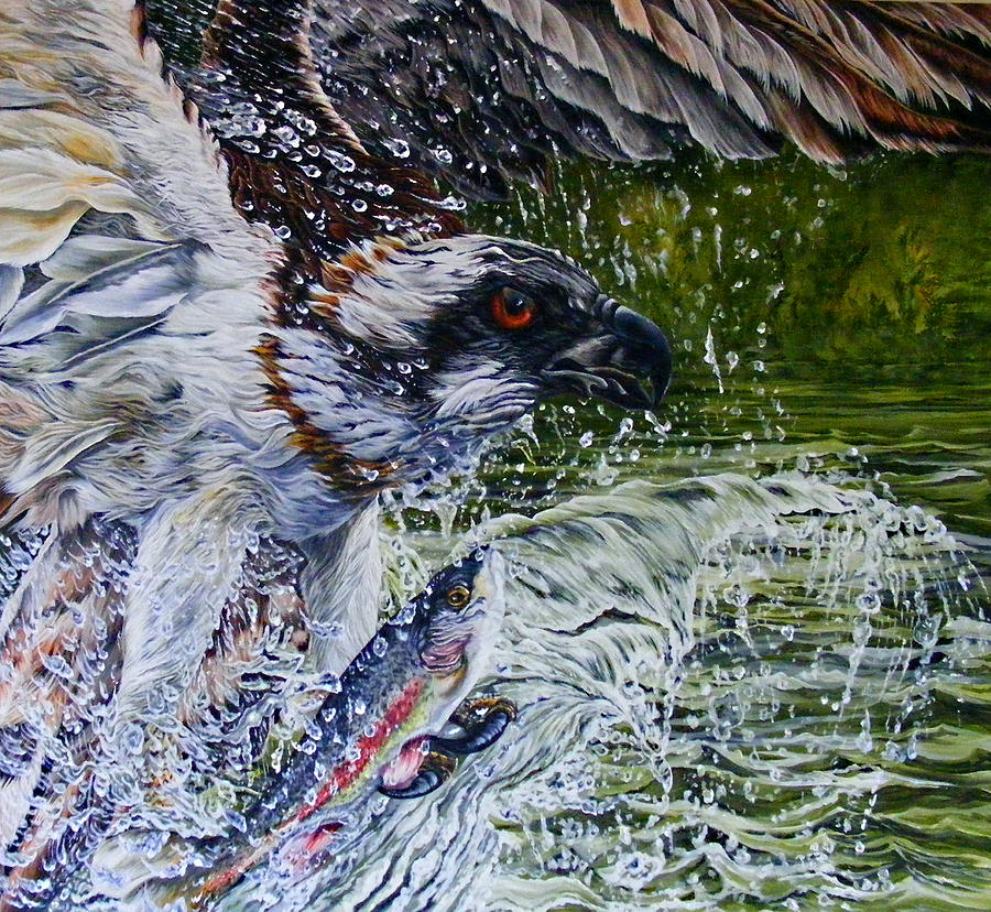 Osprey Painting - Osprey by Donald Dean