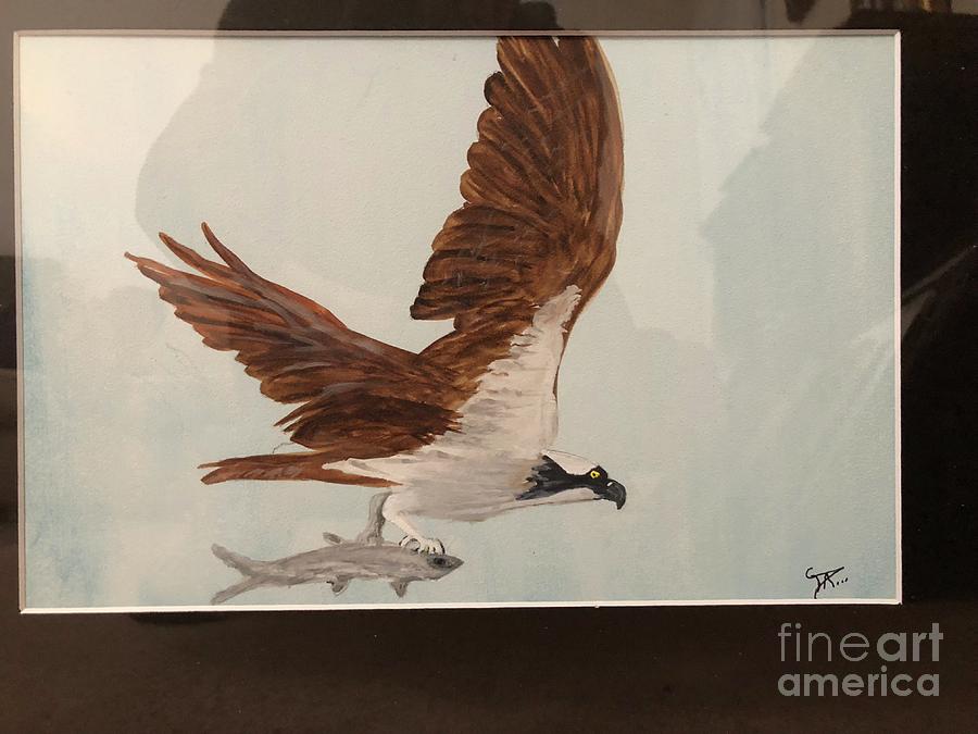 osprey by Donald Paczynski osprey by Donald Paczynski