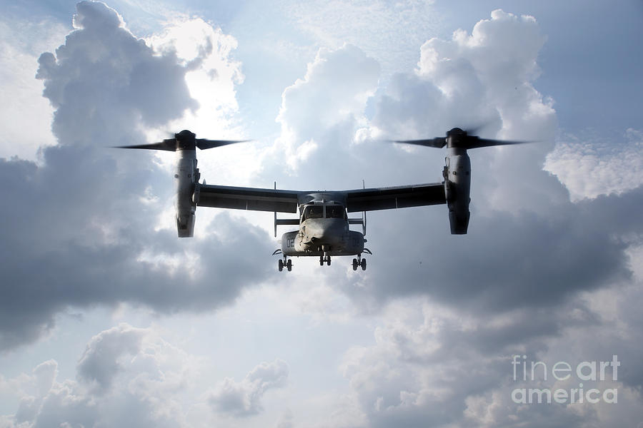 Osprey Digital Art by Airpower Art